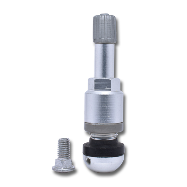 Beru Replacement Valve Stem - Valves and Service Kits